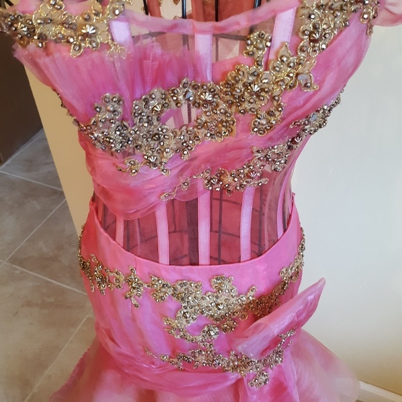 Hot Pink Bustier w/Tulle Ruffled Skirt - Picture 5 of 8